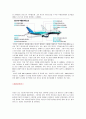 보잉사 Boeing 기업분석과 경영전략분석 및 문제질 해결방안 19페이지