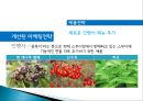 스무디킹 기업분석및 마케팅 전략분석, 새로운 마케팅전략제안 33페이지