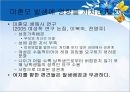 미혼모,미혼모 사회적현황과실태,미혼모문제점,사회문제 13페이지