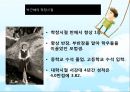  박근혜의 학창시절, 박근혜 일생, 여성정치 박근혜, 어머니 육영수여사의 영향.ppt 4페이지