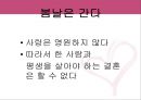 사랑의 새로운 세가지 풍속도 영화  사랑의 특징, 사랑의 특징을 잘 보여주는 영화 속 장면, 사랑의 풍속도의 장단점.ppt 9페이지
