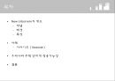 신도시주의 - 뉴어버니즘(New Urbanism) (뉴어버니즘 개념·배경·특성, 시사이드 (Seaside), 주택, 도시계획, 도시개발).ppt
 2페이지