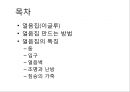 [얼음집 이글루]이글루만드는법,이글루특징,얼음집특징 2페이지