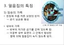 [얼음집 이글루]이글루만드는법,이글루특징,얼음집특징 13페이지