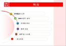 [유니클로마케팅전략]유니클로분석,유니클로브랜드분석,SPA브랜드,패스트패션 2페이지