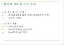 Freshmen,사업보고서,마케팅,브랜드,브랜드마케팅,기업,서비스마케팅,글로벌,경영,시장,사례,swot,stp,4p 레포트 4페이지