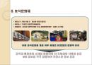문화관광축제 분석(강원도) 17페이지