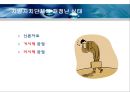 지방자치단체의 재정실태 및 대책  3페이지