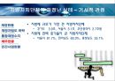 지방자치단체의 재정실태 및 대책  11페이지