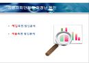 지방자치단체의 재정실태 및 대책  17페이지