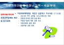 지방자치단체의 재정실태 및 대책  30페이지
