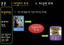 항공사회계의 IFRS 도입으로 인한 변화 및 발전방향에 대한 연구  12페이지