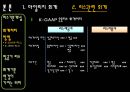 항공사회계의 IFRS 도입으로 인한 변화 및 발전방향에 대한 연구  24페이지
