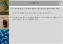 시스템정의와성공요인 5페이지