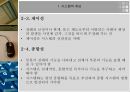 시스템정의와성공요인 7페이지