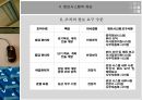 시스템정의와성공요인 18페이지