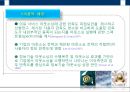 IT 아웃소싱의 기업 내부 요인이 고객만족도에 미치는 영향 연구 10페이지