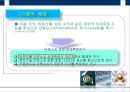 IT 아웃소싱의 기업 내부 요인이 고객만족도에 미치는 영향 연구 11페이지