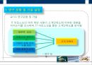IT 아웃소싱의 기업 내부 요인이 고객만족도에 미치는 영향 연구 12페이지