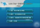 Lone Star-외환은행 사례연구 [론스타 소개] 2페이지