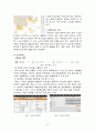 제주항공(Jeju Air) 기업분석 및 제주항공 경영전략, 마케팅전략분석과 제주항공 약점 보완방안제안 (vs 진에어 전략과비교분석) 9페이지