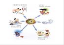간염 (Hepatitis) (HAV, HBV, HCV, HDV, B형 간염에 쓰이는 약제, virus에 노출되는 것을 피하는 방법).pptx 7페이지