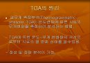 열중량분석 TGA의 원리와 응용 3페이지