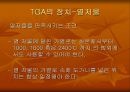 열중량분석 TGA의 원리와 응용 8페이지
