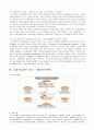 [비즈니스/경제] 소프트 뱅크 9페이지