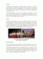 K-POP의 국가별 열풍 현황과 향후전략 6페이지