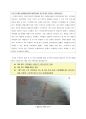 [ 창업계획서 ]기능성 스마트폰케이스 제작,판매업체 창업 사업계획서 27페이지