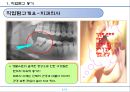 직업탐구(치과의사).pptx 3페이지