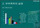부부폭력 11페이지