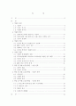 기업의 국제 경영 사례(주)레인콤 MP3 PLAYER '아이리버'  2페이지