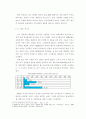 기업의 국제 경영 사례(주)레인콤 MP3 PLAYER '아이리버'  6페이지