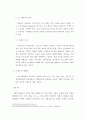 기업의 국제 경영 사례(주)레인콤 MP3 PLAYER '아이리버'  15페이지