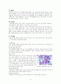 백혈병 case study 책 빌려서 작성한 것입니다. 간호진단 2개 5페이지