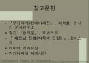 무기체계면에서 현대전의 양상에 관한연구 16페이지
