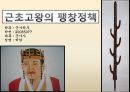 근초고왕의 팽창 정책 1페이지