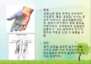 OS 진단명,정형외과 컨퍼런스 23페이지