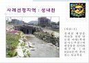 환경친화적 개발 : 성내천.ppt
 4페이지