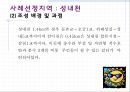 환경친화적 개발 : 성내천.ppt
 8페이지