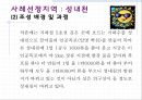 환경친화적 개발 : 성내천.ppt
 9페이지