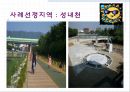환경친화적 개발 : 성내천.ppt
 12페이지