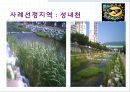 환경친화적 개발 : 성내천.ppt
 15페이지