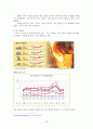 [기업정보의 이해] 포스코(POSCO) 기업경영분석 (현대제철과 상호비교분석) 12페이지