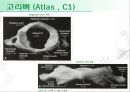 [물치리료진단평가학]목의 움직임(Movement of cervical) - 목의 해부학과 몸의 움직임 7페이지