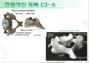 [물치리료진단평가학]목의 움직임(Movement of cervical) - 목의 해부학과 몸의 움직임 12페이지
