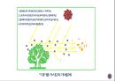 [대기환경학]대기오염의 영향 - 스모그 및 시정장애(시정장애 현상, 시정장애와 관련된 이론, 시정의 측정과 간섭현상) 5페이지