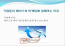 페이스북(facebook)의 SNS마케팅 성공요인과 실패요인.ppt 19페이지